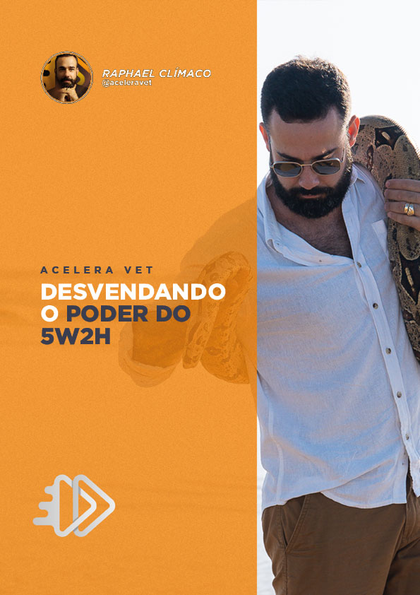 Desvendando-o-poder-do-5W2H